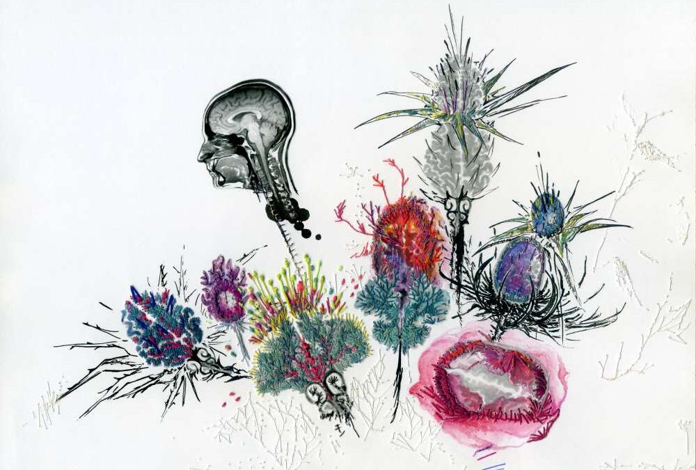 Bárbara G. F. Muriel: Arte bello. Arte sublime.