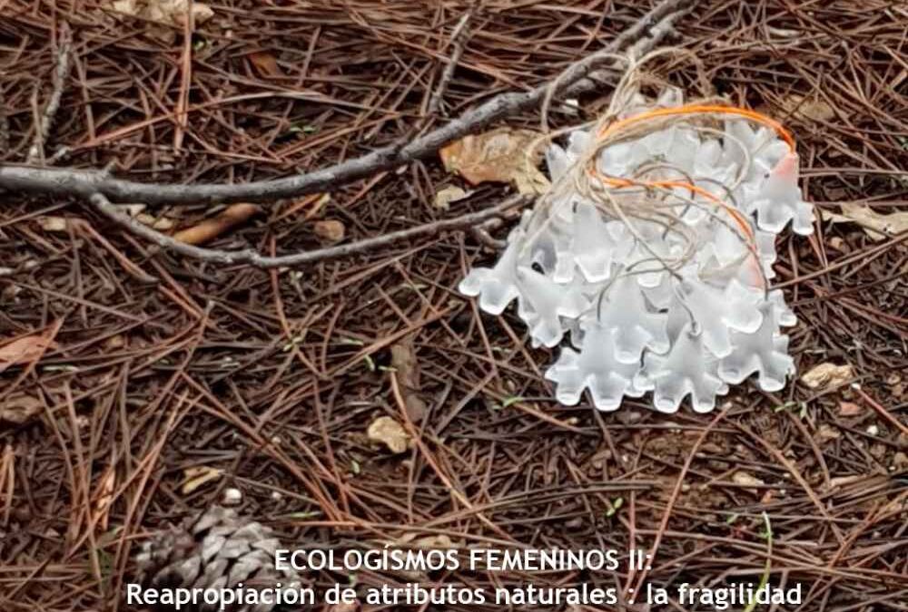 Verónica Álvarez presenta Ecologismos Femeninos II