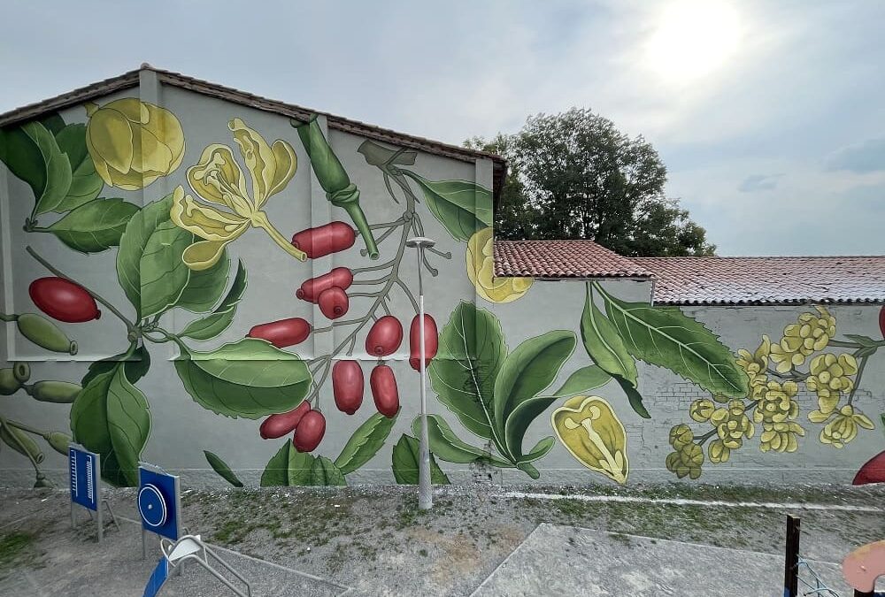 DOA OA, la explosión vegetal en el arte urbano