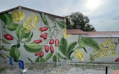 DOA OA, la explosión vegetal en el arte urbano