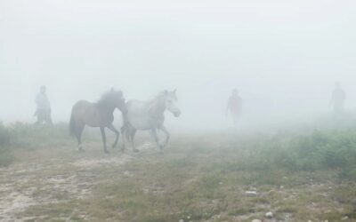 Ariadna Silva. La elevación del medio rural a un plano sagrado.