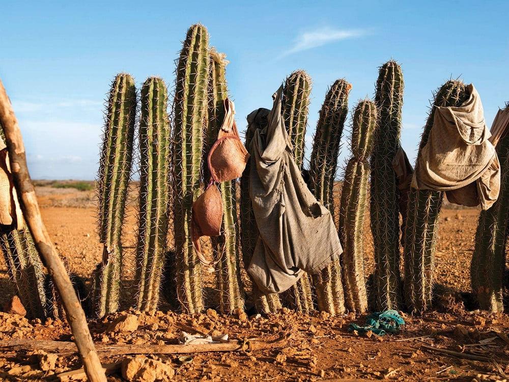 Wayuu_Magdalena Correa | Mujeres Mirando Mujeres | Natalia Alonso Arduengo